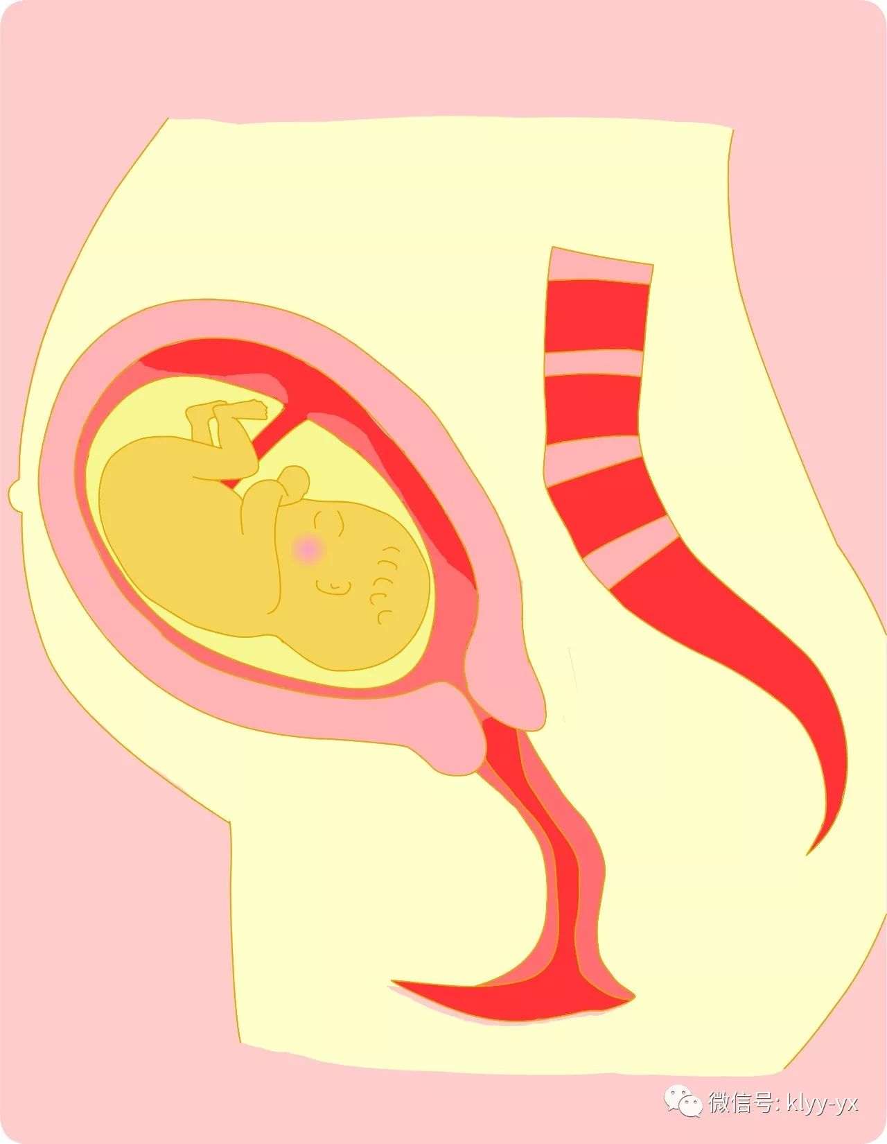 二胎束腹带,二胎过后肚子好大