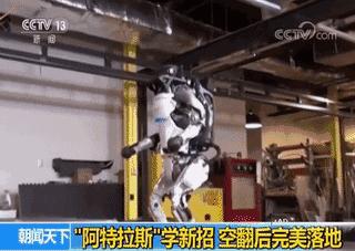 新闻早知道鸿雁知天下,鸿雁知天下