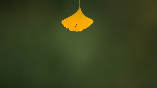 豆瓣日记碎碎念,豆瓣日记完整版