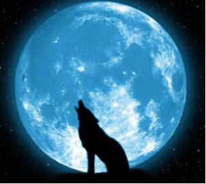 怎样培养出一个懂得感恩的孩子,怎么培养孩子有感恩之心