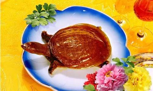 上过cctv的酒,菏泽牡丹花上央视