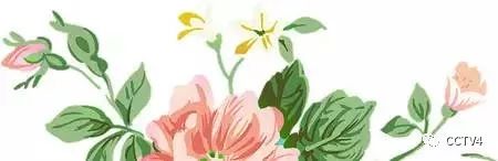 慢阻肺肺气肿怎么养肺,慢阻肺病需要补肺吗