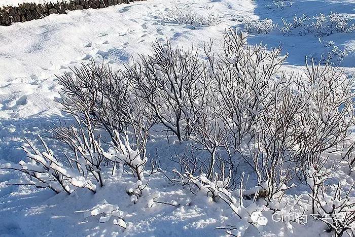 冰岛|在去黄金圈的路上，我的广发信用卡却被盗刷了