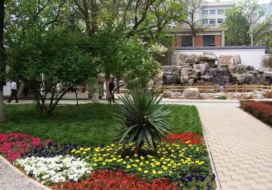 天津最值得去的公园排名榜前十,天津津南区值得游玩的公园