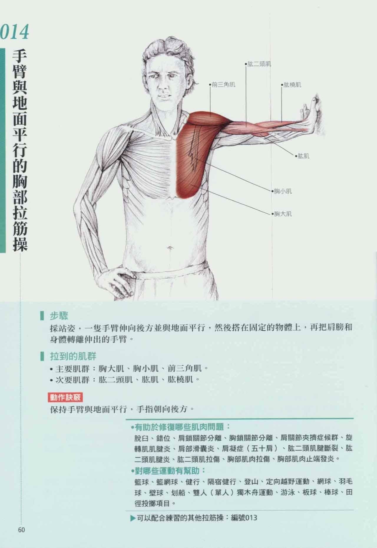 拉筋养生书,拉筋拍打书籍大全