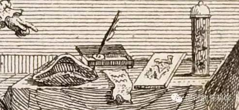 女生生兔子宝宝,女人生兔子