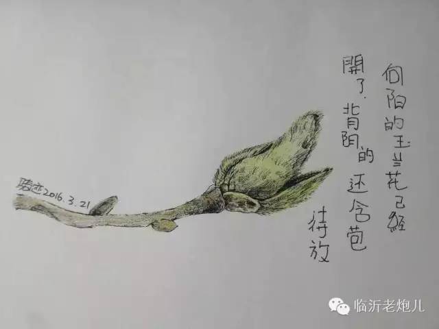 带着书本去旅行绘画,带着旅行箱去旅行绘画