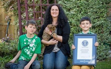 世上最老的猫是什么猫,世界上最老的猫吉尼斯世界纪录