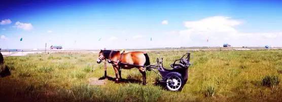 懒人带娃出游攻略,带孩子出游前要做什么准备