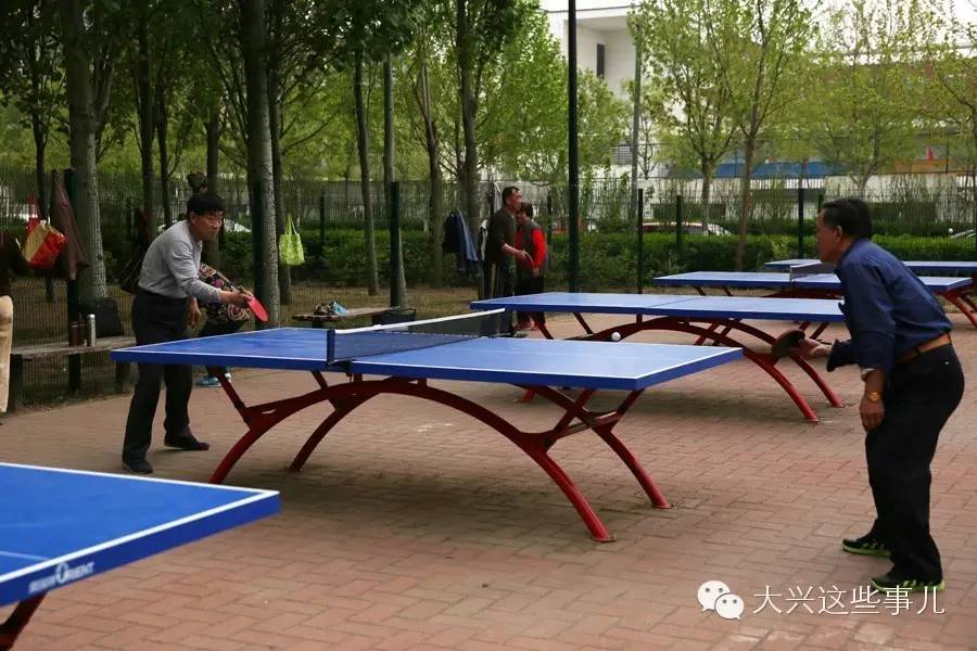 免费的运动场地一般在哪里,朝阳区免费运动场地