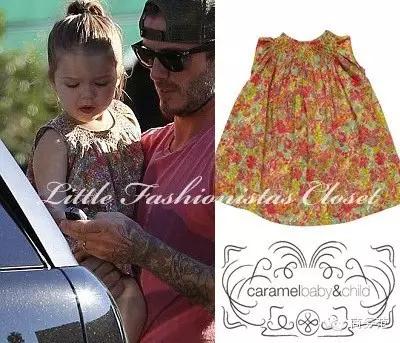 贝小七有多漂亮,贝小七投胎成功案例