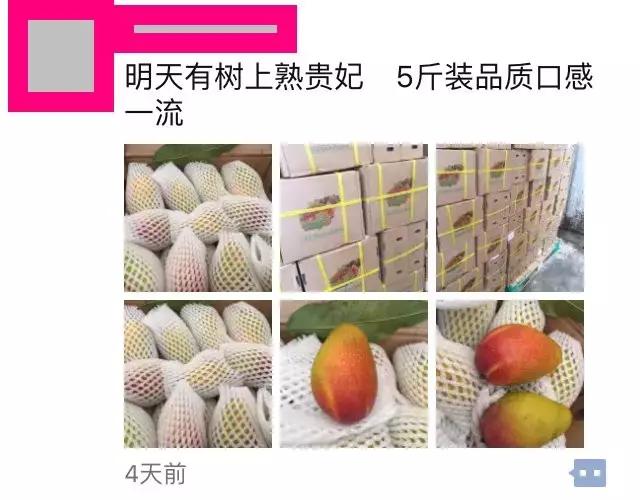 微商做水果能挣钱吗,微商水果前景如何