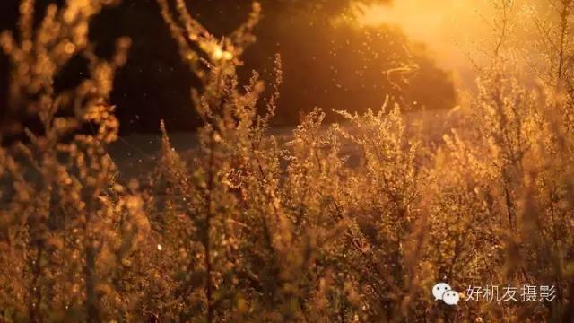 有什么办法防眩光,简单又轻松快速学会灯光