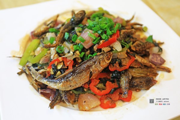 有一种春天叫牡丹花开,有一种春天叫花开艳丽