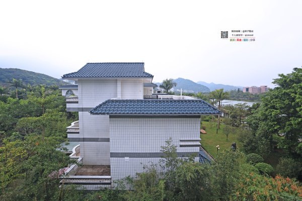 有一种春天叫牡丹花开,有一种春天叫花开艳丽