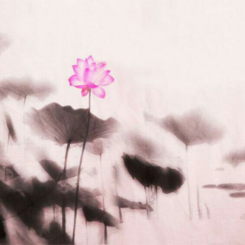 影响服装廓形的重要部位,影响服装颜色的因素