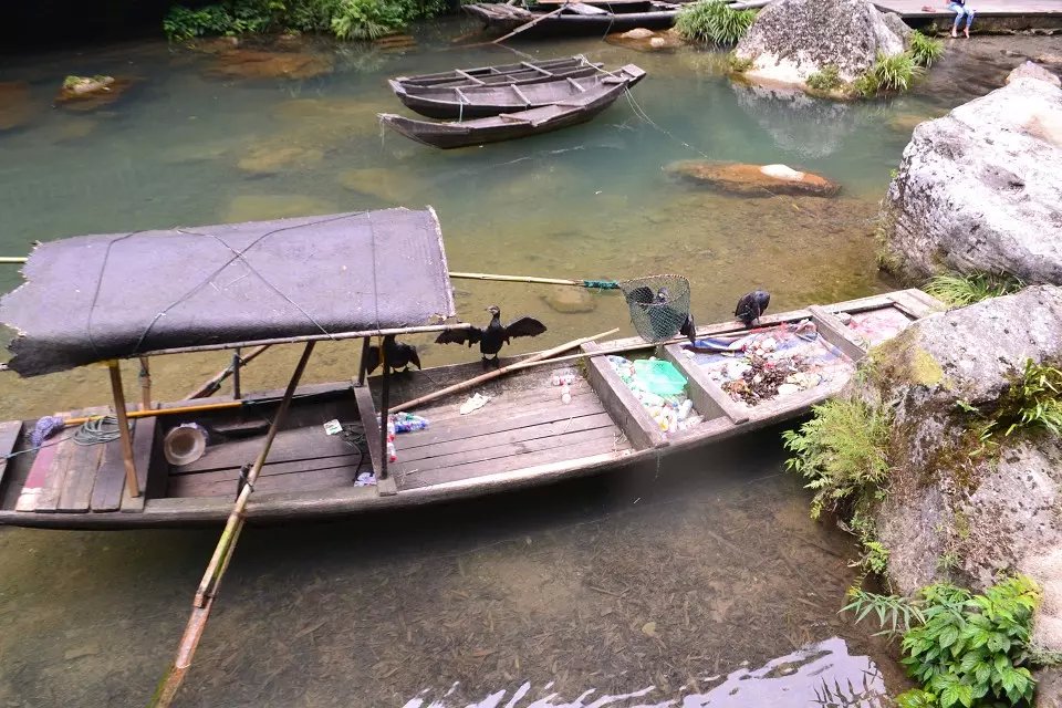 三峡人家路亚,三峡人家湖北文旅优惠多少