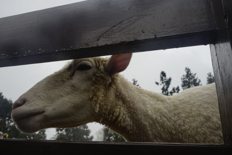 台湾游记自由行,台湾环岛旅行记