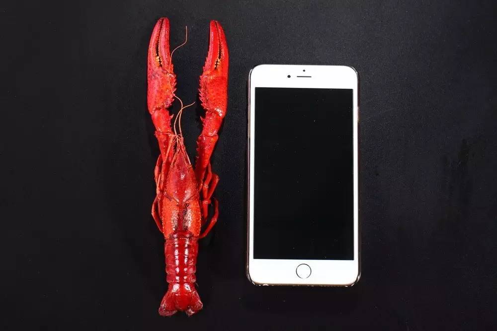 就算你开着玛莎拉蒂，*博兰**基尼也不一定能吃到她家龙虾，每天就这