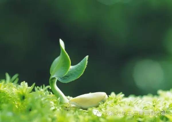 现在什么平台卖和田玉最好,和田玉购买渠道