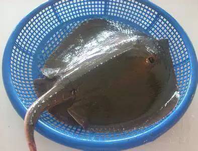 那些不认识的海鲜小干货,超级干货2022