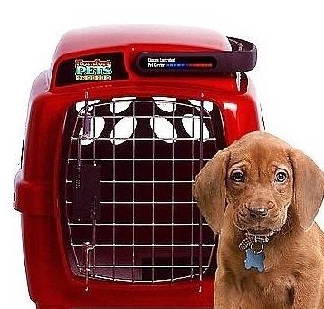 狗狗航空托运需要哪些手续,狗狗国内托运飞机办理流程