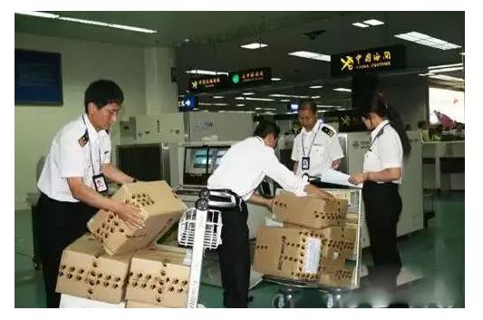 热门话题黄渤,黄渤开箱子哪一期