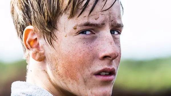 10部冷门佳片,2020冷门佳片排行榜