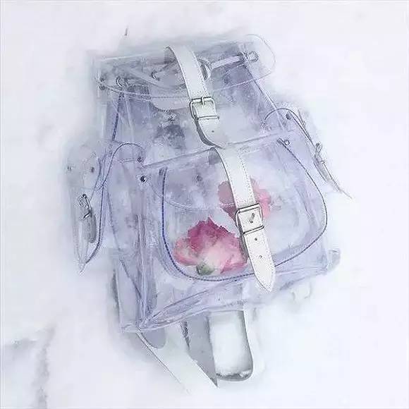 双肩包最全攻略从穷学生到富名媛都能种草！