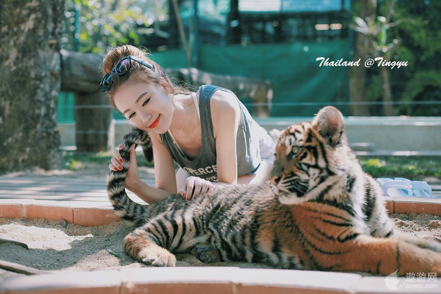 旅游攻略泰国免费,攻略带你了解最美的泰国景点