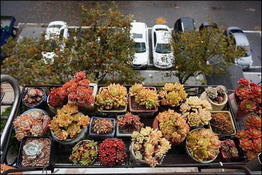 直播间不退不换的韩货,未来直播带货会持续红火吗