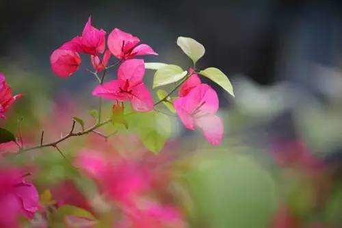 photoshop教程最简单的教程,photoshop照片后期教程