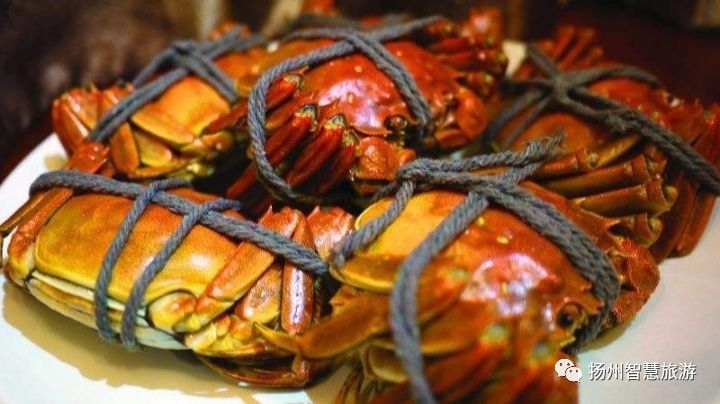 扬州螃蟹,江苏吃螃蟹最出名的地方有哪两个