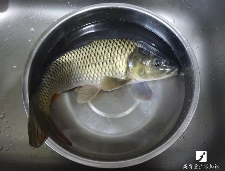 炖鱼怎么能去除土腥味儿视频,麻辣炖鱼鱼肉有土腥味怎么去除