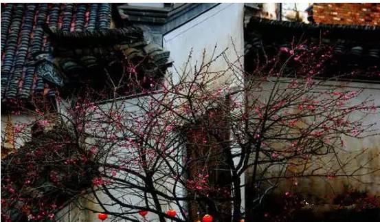 江西赣州冬天,赣州冬天周边旅游景点推荐