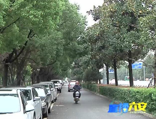 天气热有什么要预防的疾病,天气忽冷忽热怎么预防生病