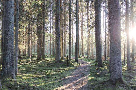 吸音板造型推荐,新式的吸音板