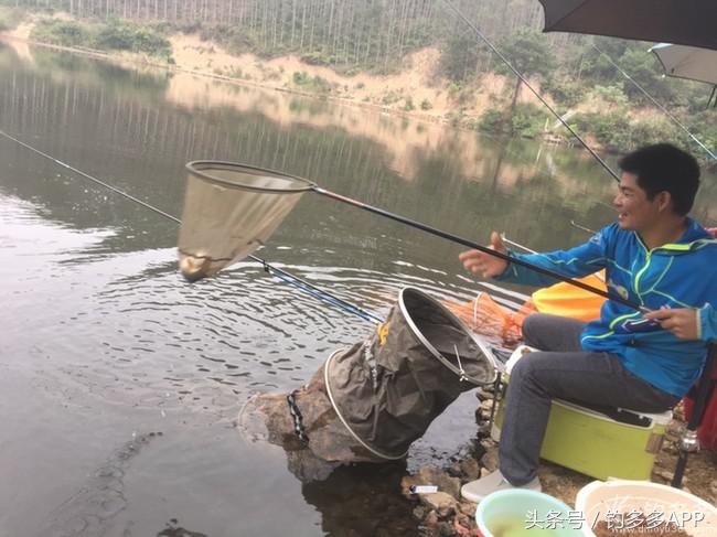 奔横县只为巴西雕，遇降温无奈成掐鲤