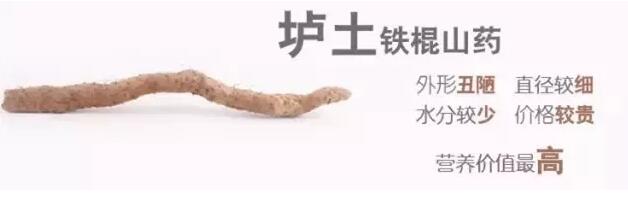 铁棍山药跟什么搭营养最好,铁棍山药怎么吃才有健脾胃的功效