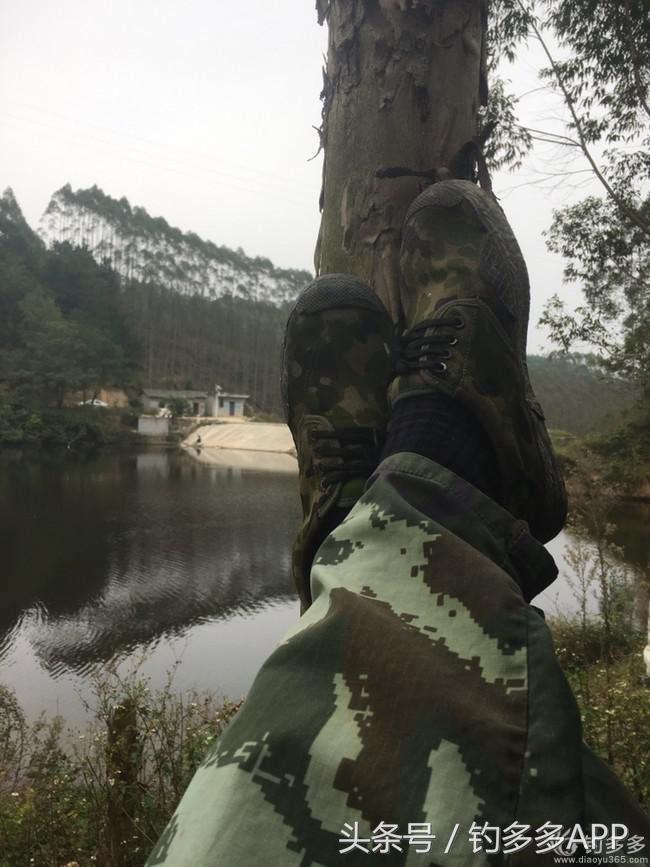 奔横县只为巴西雕，遇降温无奈成掐鲤