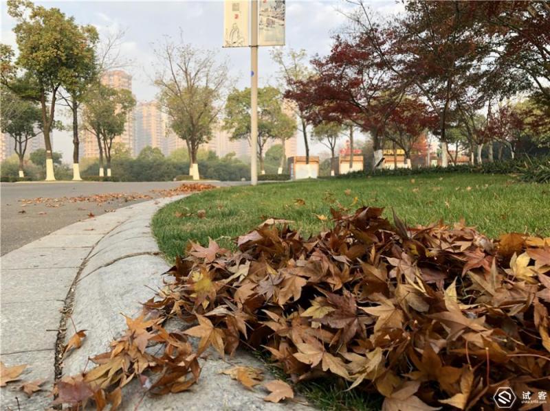 最惊艳的手机iphonex,iphonex亮相到底有多惊艳