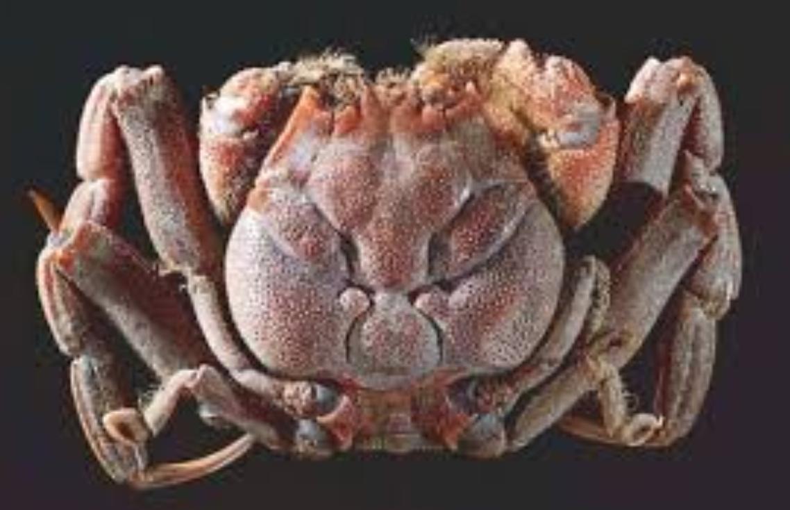 达尔文进化论对科学文明有影响吗,达尔文进化论产生什么影响