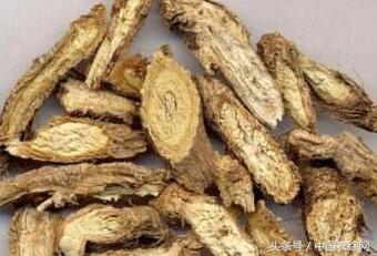 慈禧补气血的药丸,慈禧不老神药