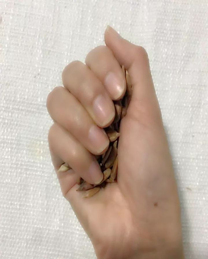 教你如何挑选“好坚果”，这样的坚果才是健康有益的