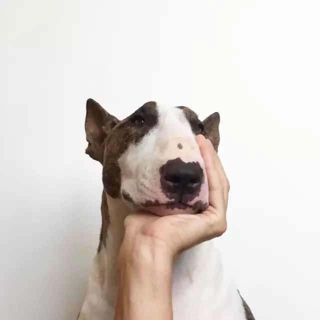 傲娇的老佛爷也要每天看Ta脸色