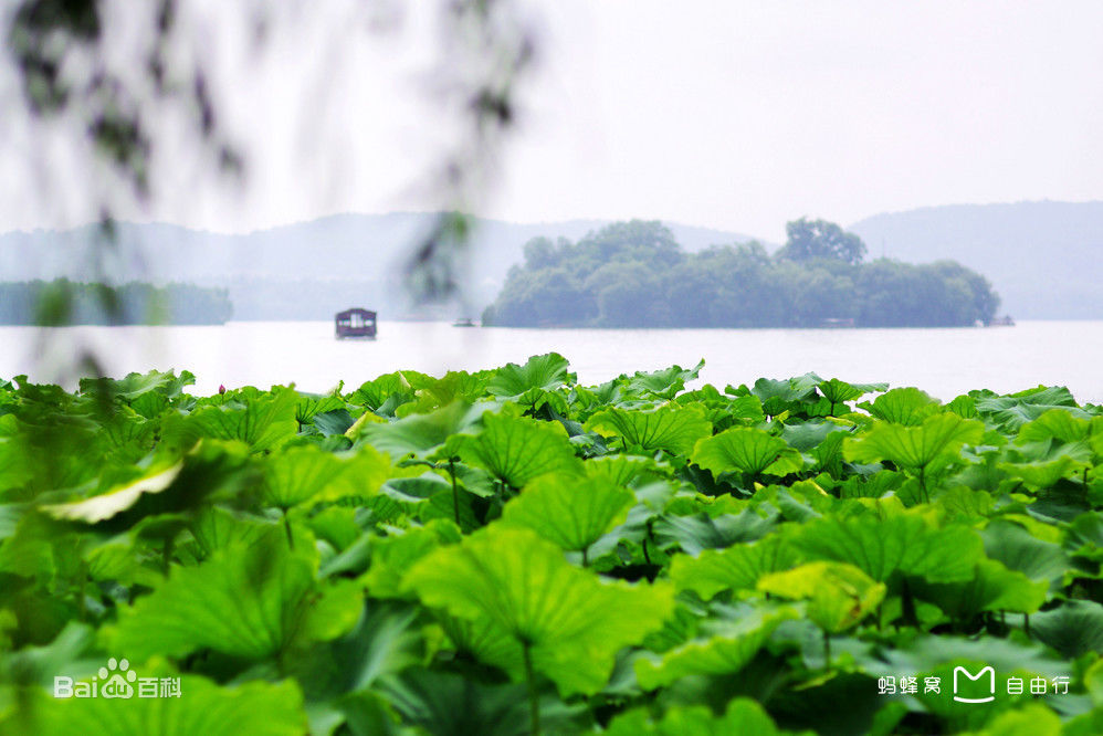 浙江杭州西湖附近酒店,浙江杭州西湖附近住宿