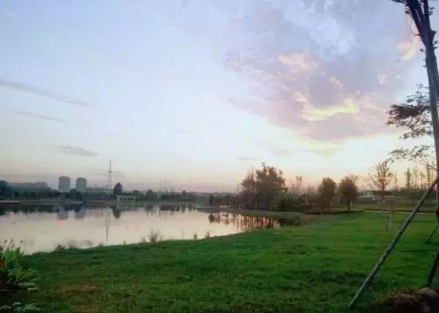 郑州公园推荐免费十一月,郑州免费公园景点推荐