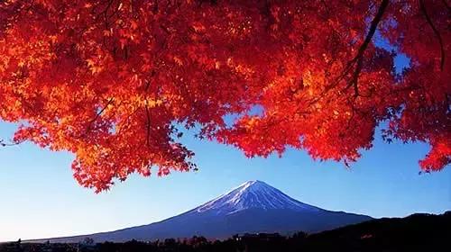 日本购物哪些值得买,去日本购物必买清单推荐