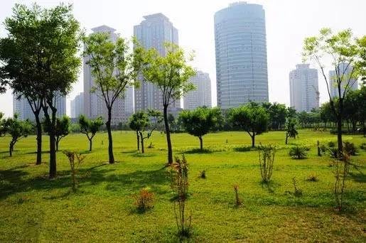 郑州公园推荐免费十一月,郑州免费公园景点推荐