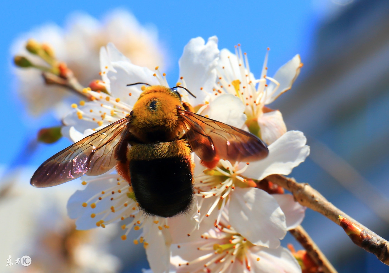 这玩意,牛得没有朋友,到底牛在哪里